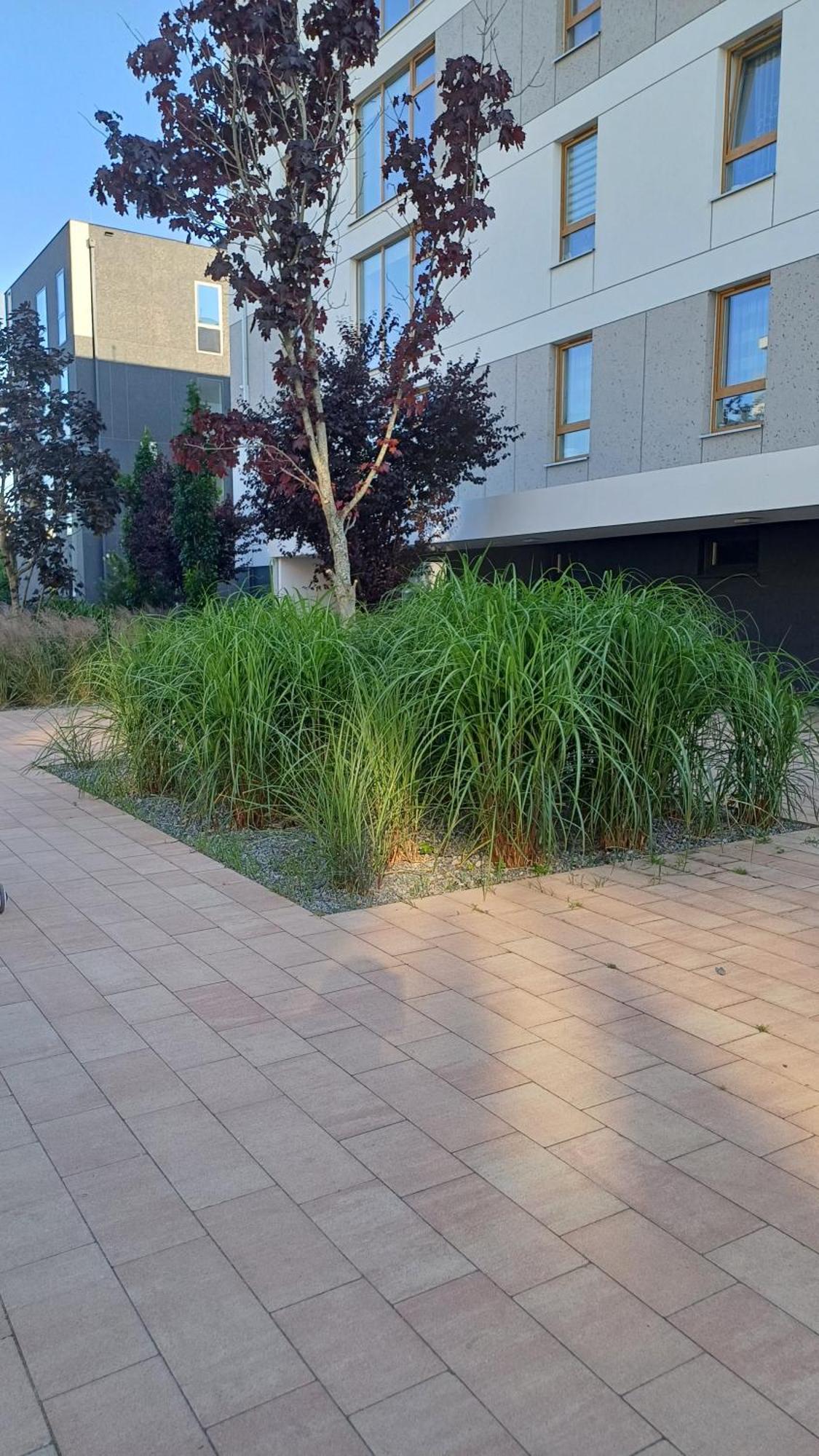 Apartament Davima Aquapark Rumia - Novum Buitenkant foto